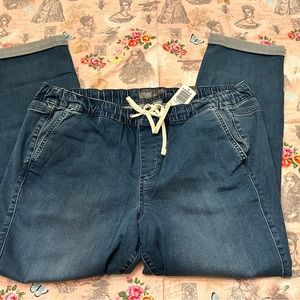 Torrid - Pull on Jean 18/20